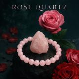 cover images 800.600