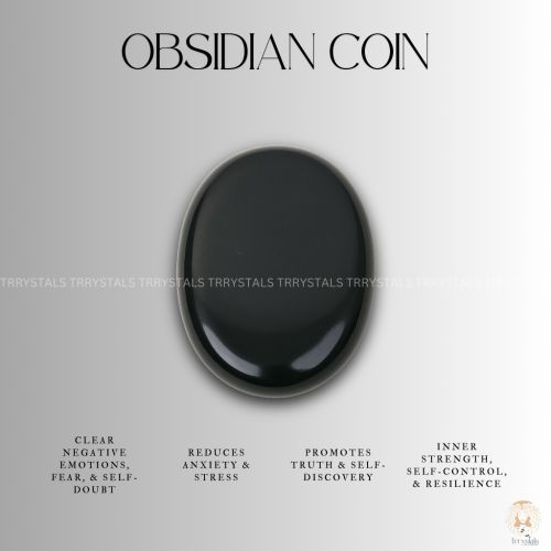 Black Obsidian Gemstone Coin