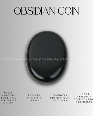Black Obsidian Gemstone Coin