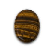 Tiger Eye Gemstone Coin