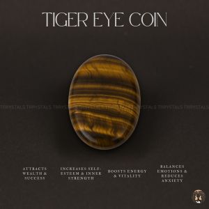 Tiger Eye Gemstone Coin