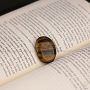 Tiger Eye Gemstone Coin