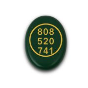 Jade Coin Zibu Symbol