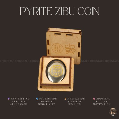 Pyrite Coin with Zibu Symbol