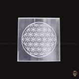 Flower of Life 2